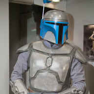 sdfett