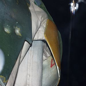 Boba Fett Costume