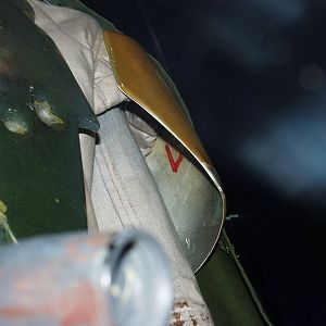 Boba Fett Costume