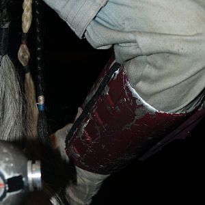 Boba Fett Costume